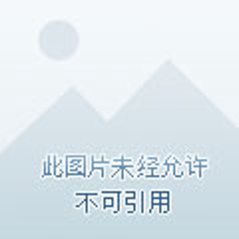 葵涌安全监管：守护城市安心运行的关键防线